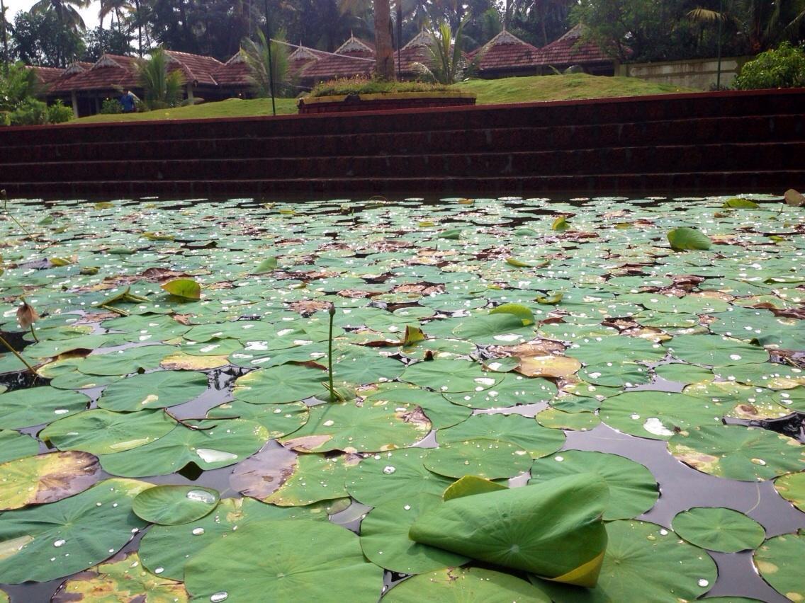 Deepanjali Wellness & Retreat Hotel Thanniyam Luaran gambar
